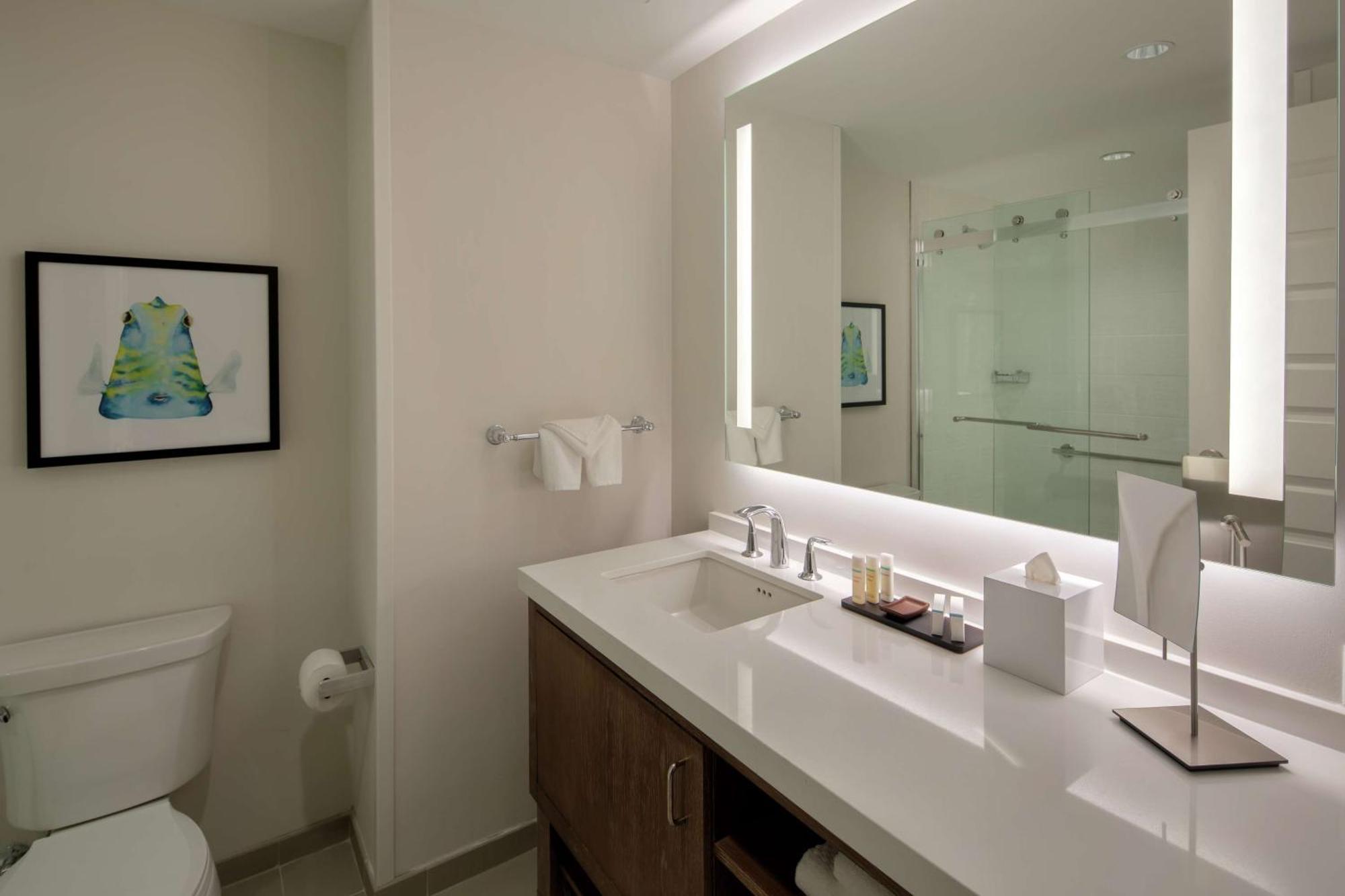 King Studio Suite