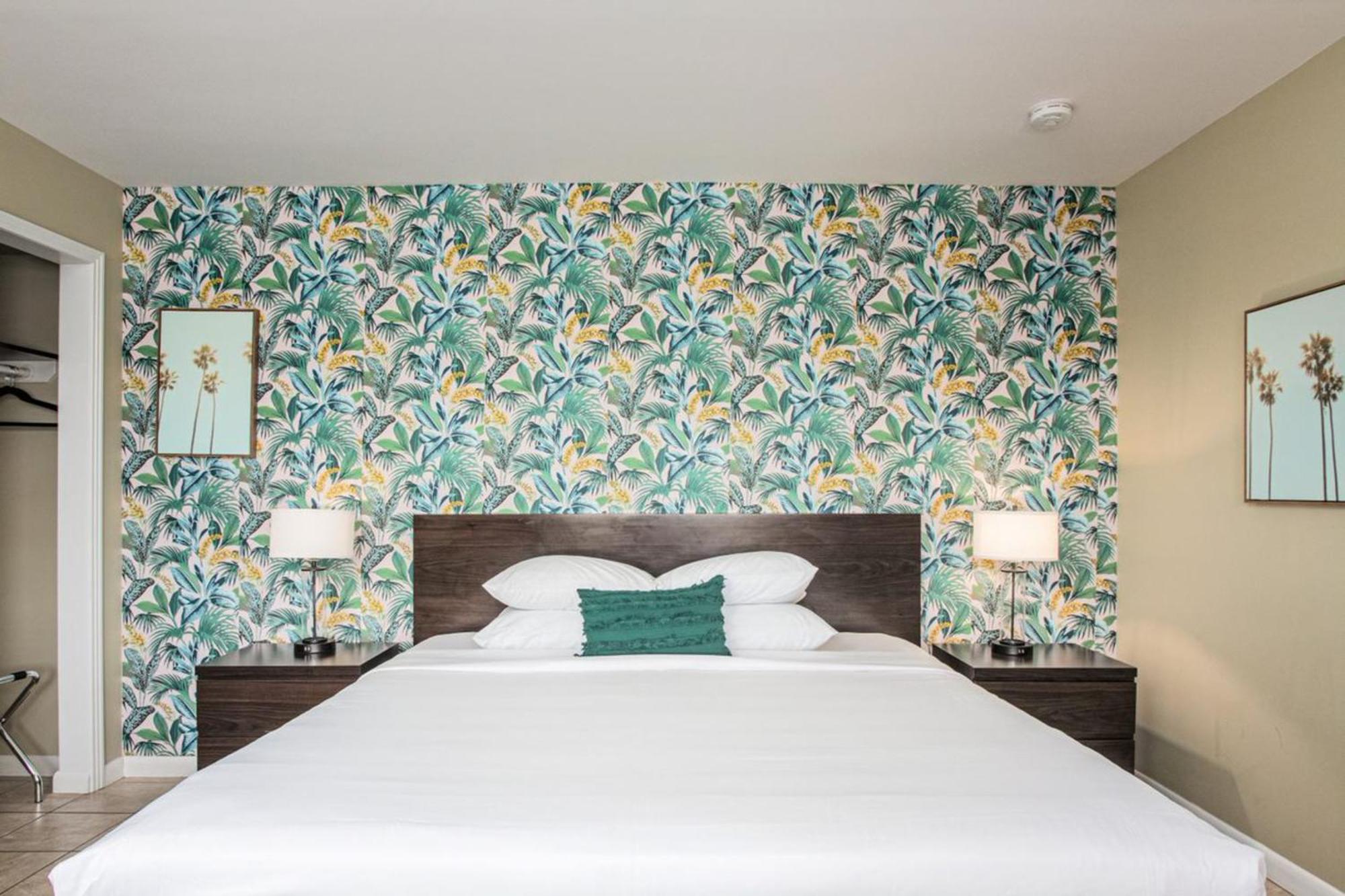 King Room,1666085176:JPEG